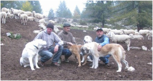 Ezio Maria Romano con alcuni pastori e con i suoi cani
